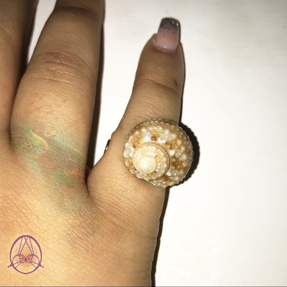 Creamsicle Seashell Ring